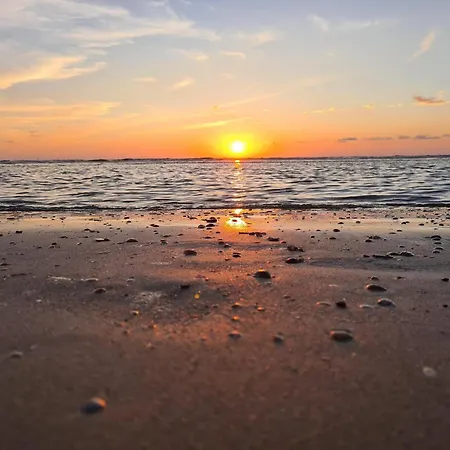 Atlantis 14c דירה *