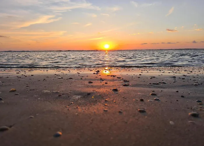 Atlantis 14c דירה *